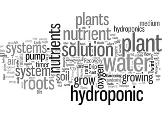 Fototapeta premium Hydroponic Plant Systems What No Dirt