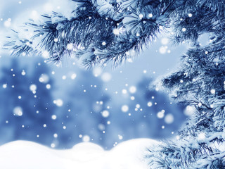 winter christmas background with snow and fir branches frame