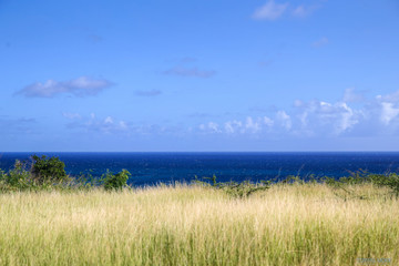 Coastline and beaches of the Caribbean island of Antigua