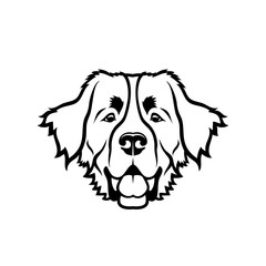 Fototapeta premium Bernese mountain dog - isolated vector illustration