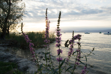 Langzeitbelichtung am Gardasee kurz vor dem Sonnenuntergang