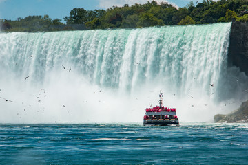 Boat at Niagara falls - obrazy, fototapety, plakaty