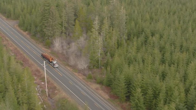 AERIAL: Speeding big rig transports heavy logs down an empty asphalt highway crossing the beautiful Olympic National Forest in Washington, USA. 18 wheeler hauls heavy logs down the rural freeway.