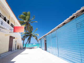 Typical caribbean house near Atlantic ocean beach with coconut palm tree