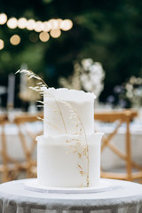 Amazing minimalistic wedding cake