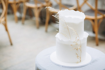 Amazing minimalistic wedding cake