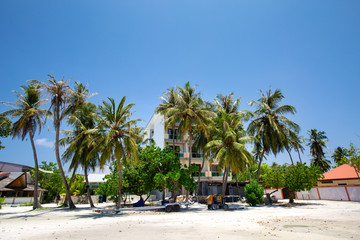 Fototapeta na wymiar Tropical town with coconut palm trees and typical houses