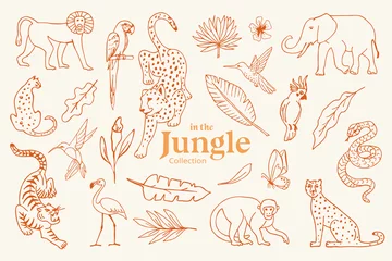 Fototapeten Set of hand drawn illustrations of jungle animals & plants © Anna
