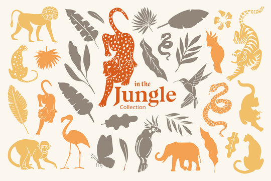 Set of hand drawn illustrations of jungle animals & plants