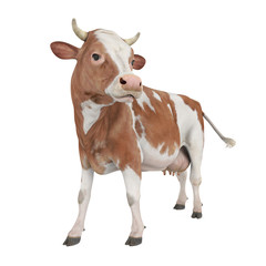 Cow Isolated