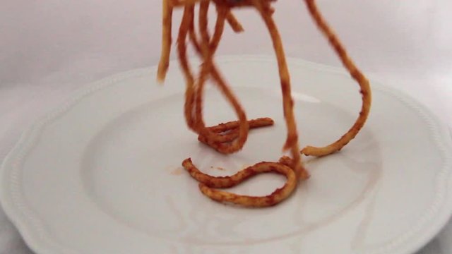 flying over a plate of bucatini amatriciana with a drop of pecorino cheese
