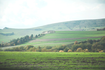 Fototapeta na wymiar color field with mountain