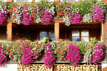 Im Bregenzerwald, Holzgebäude mit Sommerblumen geschmückt