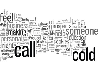 how to make cold calls dlvy nicheblowercom