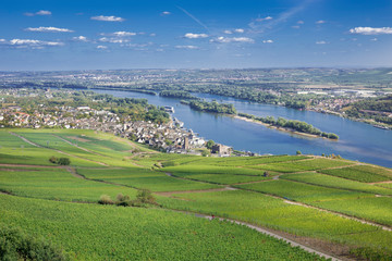Fototapeta na wymiar View from the Niederwald Monument over vineyards to Rüdesheim at the river Rhine. Hesse, Germany, Europe