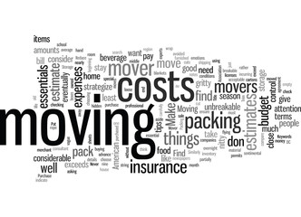 Fototapeta premium How to Make a Claim Against Your Mover