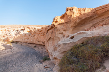Smooth sandstone walls of Barranco de los Enamorados. Fuerteventura Canary Islands