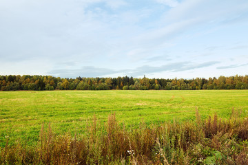 Green fields with wood forest background