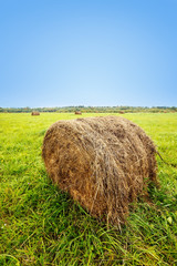 Farm field with haystack at autumn
