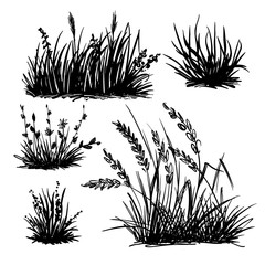 A set of hand-drawn grass, black forts for graphic design.