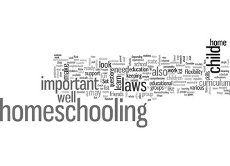 Fototapeta premium how to homeschool your child dlvy