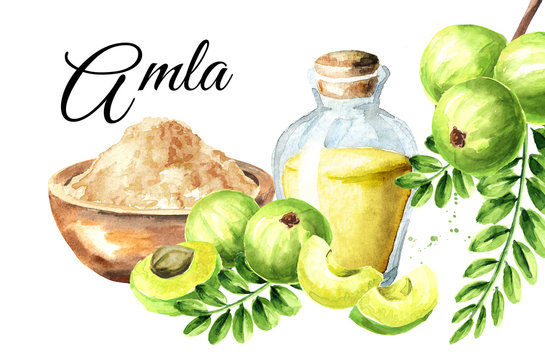 Download Amla Powder Photos Royalty Free Images Graphics Vectors Videos Adobe Stock PSD Mockup Templates