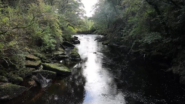 River Roe, spate river, tranquil river scene with early autumn colours and reflections in the water