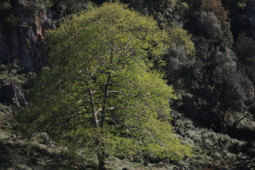 The majestic nature of the island of Crete, eastern Mediterranean