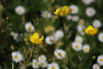 The majestic nature of the island of Crete, eastern Mediterranean