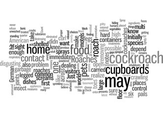 How To Get Rid Of Roaches