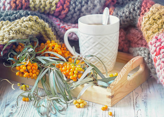 Obraz na płótnie Canvas Cup of herbal tea, sea-buckthorn and knitted blanket on the wooden background, toned.