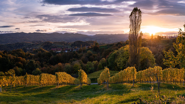 Herbstlandschaft Panorama an der S&uuml;dsteirischen Weinstrasse bei Sonnenuntergang
