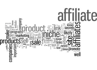 How to Generate Massive Income from Affiliates for Your Niche Website