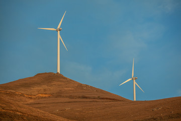 modern windmills in wheat fields background