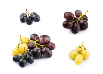 Grapevine isolated on white background