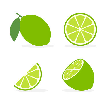Vector lime slice green illustration lemon isolated half fruit lime. Fresh green cut citrus icon