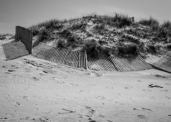 Sand Dune With Sand Fencing, Black And White