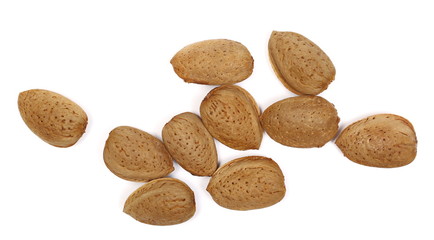Almond kernel, nut in shell isolated on white background, top view