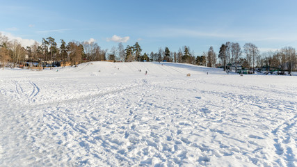 winter landscape