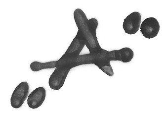 Letter A isolated on white, spray stain 