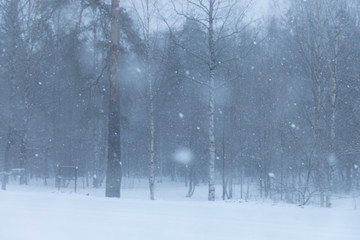 abstract winter background