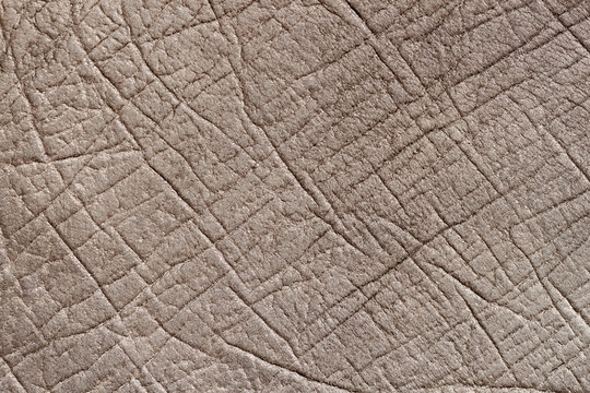 Genuine grainy leather texture closeup, brown grey color, matte surface, with wrinkles and cracks, trendy background.