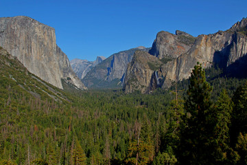 Obraz premium Tunnel View provides one of the most famous views of Yosemite Valley, from here you can see El Capitan and Bridalveil Fall rising from Yosemite Valley, with Half Dome in the background. .