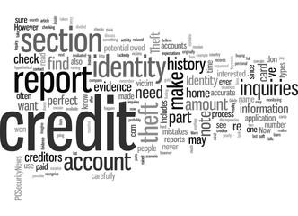 Fototapeta na wymiar How to Check Your Credit Report for Evidence of Identity Theft