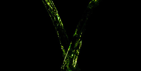 Green splashes of water on a black background