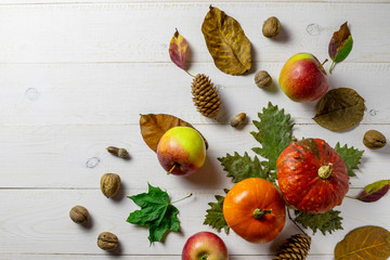 Autumn concept with pumpkins, autumn leaves, bumps, acorn and nut on a white rustic background....