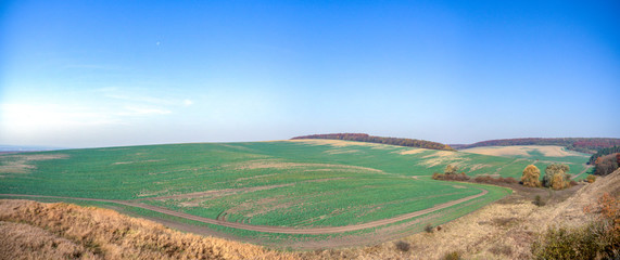 Fototapeta na wymiar Panorama of an agricultural field