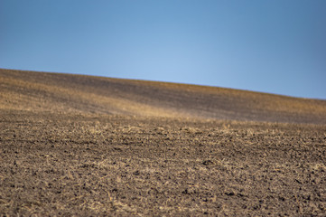 Plowed land on a field of black soil