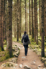 Fototapeta premium vertical picture of women in the nature, sportive woman hiking in the forest with backpack