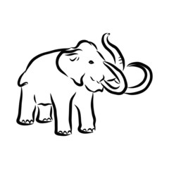 vector illustration of an mammoth, sketch 